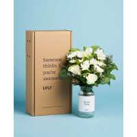 Read LVLY Reviews